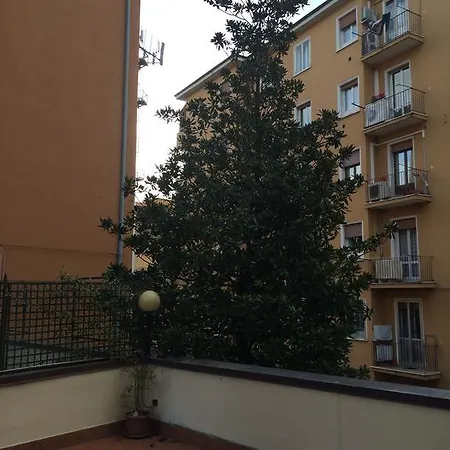 Tl Murri Bologna