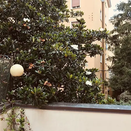 Tl Murri * Bologna